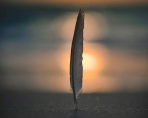 Einzelne Feder vor einem sanften Sonnenuntergang als Sinnbild für Erschöpfung und Mama-Burnout