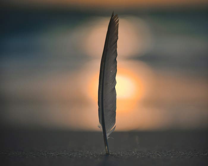 Einzelne Feder vor einem sanften Sonnenuntergang als Sinnbild für Erschöpfung und Mama-Burnout